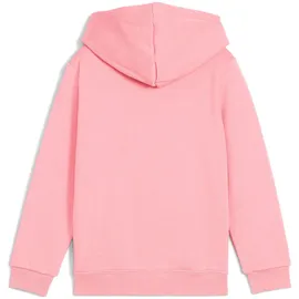 Puma Hoodie Pink 116