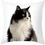 CEVAN Cotton Kissenbezüge Weich Kissenbezug Wasserdicht Die Katze Kissenbezüge Dekokissen Kissenbezug Yogakissen Schwarz Kissenbezüge Sofa Dekor 40x40cm, 1Pcs