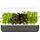 Click & Grow Smart Garden 9 60,4 x 18,4 x 39,6 cm grey
