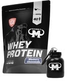 1kg Mammut Whey Protein Eiweißshake - Set inkl. Protein Shaker, Riegel, Powderbank oder Tasse (Blueberry Cheesecake, Gratis Mammut Powderbank)