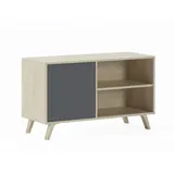 SKRAUT HOME Wind 100 TV-Schrank 95 x 40 x 57 cm Anthrazitgrau/Eiche