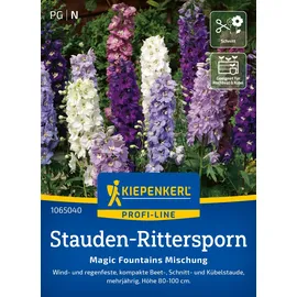 Kiepenkerl Saatgut, Stauden-Rittersporn Magic Fountains'