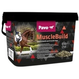 Pavo Muscle Build