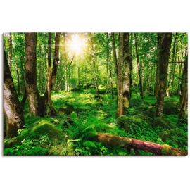 Artland Wandbild »Wald«, Wald, (1 St.), als Leinwandbild, Poster, Wandaufkleber in verschied. Größen, grün