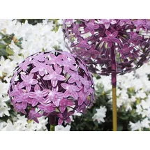 finehomegarden Gartenstecker Allium 20 x 20 cm Lila