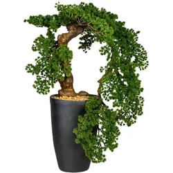 CREATIV green künstliche Pflanze Bonsai Lärche Han-Kengai, ca 90cm
