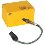 Hella 6PA 009 166-821 für Audi A4 B7/VW Bora/Golf IV