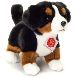 Teddy-Hermann  Berner Sennenhund Welpe