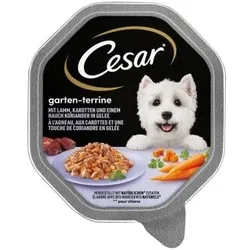 Cesar Garten-Terrine 14x150g Lamm, Karotten & Koriander