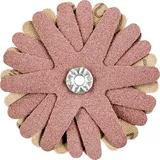 pferd tools PFERD 42732106 Schleifsterne Durchmesser 70 mm 10 St.