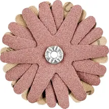 pferd tools PFERD 42732106 Schleifsterne Durchmesser 70 mm 10 St.