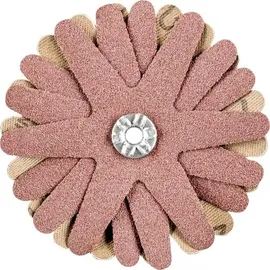 pferd tools PFERD 42732106 Schleifsterne Durchmesser 70 mm 10 St.