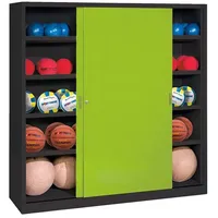 C+P Ballschrank mit Vollblech-Schiebetüren (Typ 4), HxBxT: 195x120x40 cm,