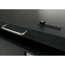 Proregal Mülltonnenverkleidung 122 x 250 x 84 cm anthrazit