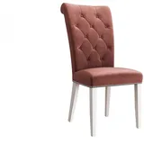 MIRJAN24 Stuhl Christina (1 Stück), Buchenholz, 47x68x103 cm rosa