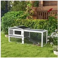 PawHut Kleintierstall 156 x 58 x 68 cm Hellgrau