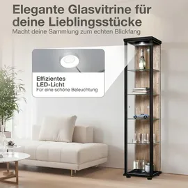 K-Möbel Glasvitrine C1014 176 x 37 x 33 cm Schwarz/Sonoma Eiche