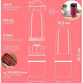 GOURMETmaxx Nutrition Mixer Pro 1.000 Standmixer