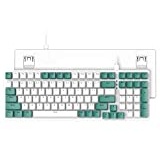 Ziyou LANG K3 Mechanische Tastatur, Abnehmbarer USB C kabelgebundener Mechanical Blue Switch, Beleuchtet, LED-beleuchtet, Gaming-Tastatur, Kompakte 100 Tasten mit Number Pad, PC-Gaming-Tastatur