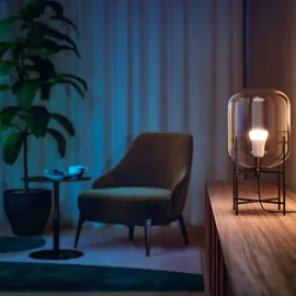 Philips Hue White & Color Ambiance E27 LED-Lampe