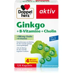 Doppelherz Ginkgo + B-Vitamine + Cholin Kapseln zur Förderung der geistigen Ausgeglichenheit 120 KAP