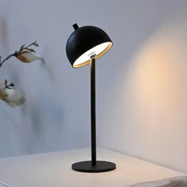 Schöner Wohnen Bellis Schwarz