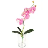 Kunstorchidee Phalaenopsis Orchidee ADJA im Topf, 4 Blüten, weiß - rosa, 40cm Orchidee (Orchidee phalaenopsis), artplants rosa