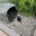 Intergarden Abdeckfelsen Trafohaus M 30x30x40 cm Wetterfest mit Kabeldurchführung