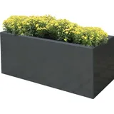 Palatino Pflanzkübel Palatino Lotte 120 x 40 x 50 cm grau