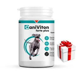 VETOQUINOL Caniviton forte plus - 90 tab. + Überraschung für den Hund
