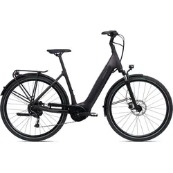 Giant DailyTour E+ 3 Grau Modell 2024