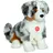 Teddy-Hermann Australian Shepherd Welpe