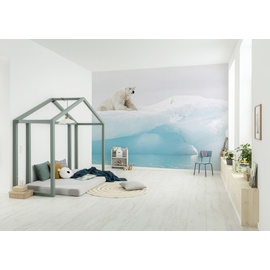 KOMAR Fototapete Artic Polar Bear 368 x 254 cm