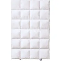 Kauffmann Superior 240x220 cm extra warm