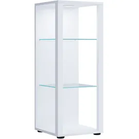 VCM Holz Glas Stand Vitrine Sammelvitrine Glasol M