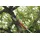 Husqvarna Hochentaster-Aufsatz DP110 FLXi