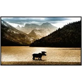 Papermoon Infrarotheizung Elch im Waterton See«, Matt-Effekt - bunt