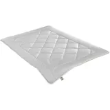 IRISETTE Greenline Kamelhaardecke Mono leicht (800 g, 135 x 200 cm