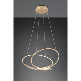 Trio Darvin 1-flg. 52W 52 cm rund goldfarben