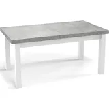 WFL GROUP Esstisch Hellgrau, Holzwerkstoff, 10-Sitzer, Rechteckig,Rechteckig, 90x78x160 cm Esszimmer, Tische, Esstische