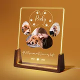 Jodimitty Personalisiert Haustier Gedenktafel aus Acryl, optionales LED-Licht und Holzsockel, mit Foto und Text, Gedenkgeschenke Bilderrahmen Andenken an verstorbenen Hund Katze (Stil B)