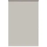 vidaXL Duschrollo 150 x 240 cm grau