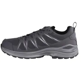 Lowa Innox EVO II GTX grau/grau 42,5