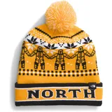 THE NORTH FACE Herren Ski Beanie-Mütze, Summit Gold Him Suit Ja, One Size