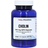 GALL PHARMA Cholin 100 mg GPH Kapseln 120 St.