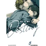 Hayabusa He is my Destiny