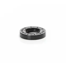 ELMAG Wellendichtring (WDR 030/55/10 SL) - 9101648
