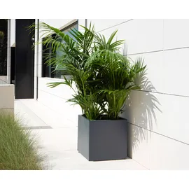 Herstera Blumenkasten 50 x 50 cm Anthrazit