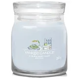 Yankee Candle A Calm & Quiet Place mittelgroße Kerze 368 g