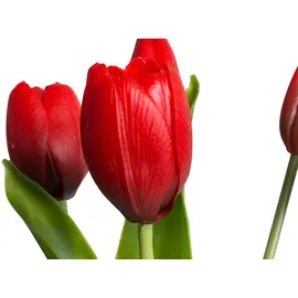 OTTO home Kunstblume OTTO HOME "Tulpenbündel Holland real Touch", rot, B:10cm H:35cm T:10cm Ø:10cm, Kunststoff, Kunstpflanzen